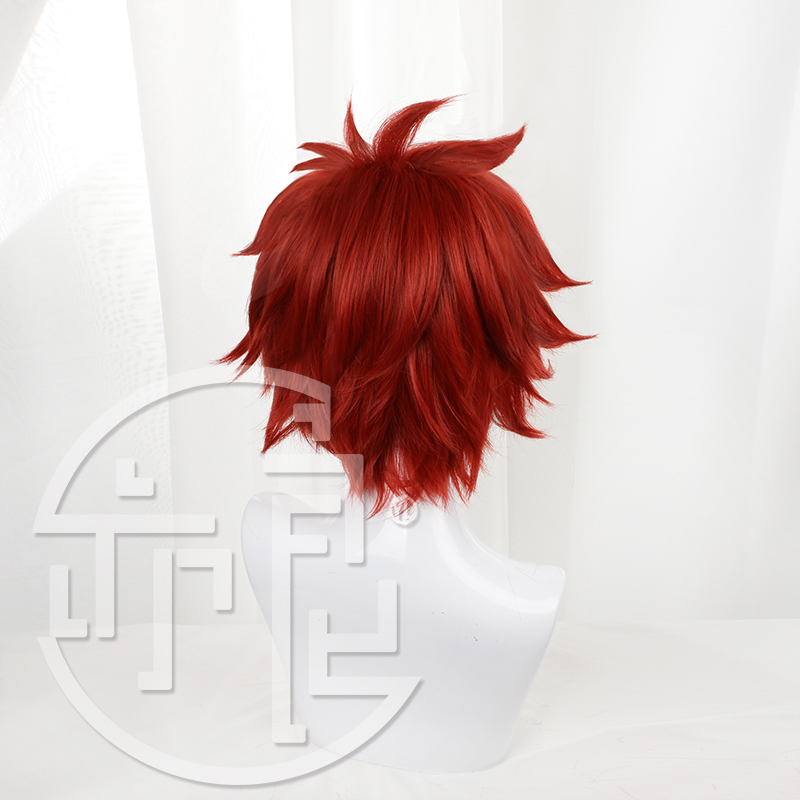 Anime SK8 the Infinity Reki Co - Anime Cosplay Red Hair review and price