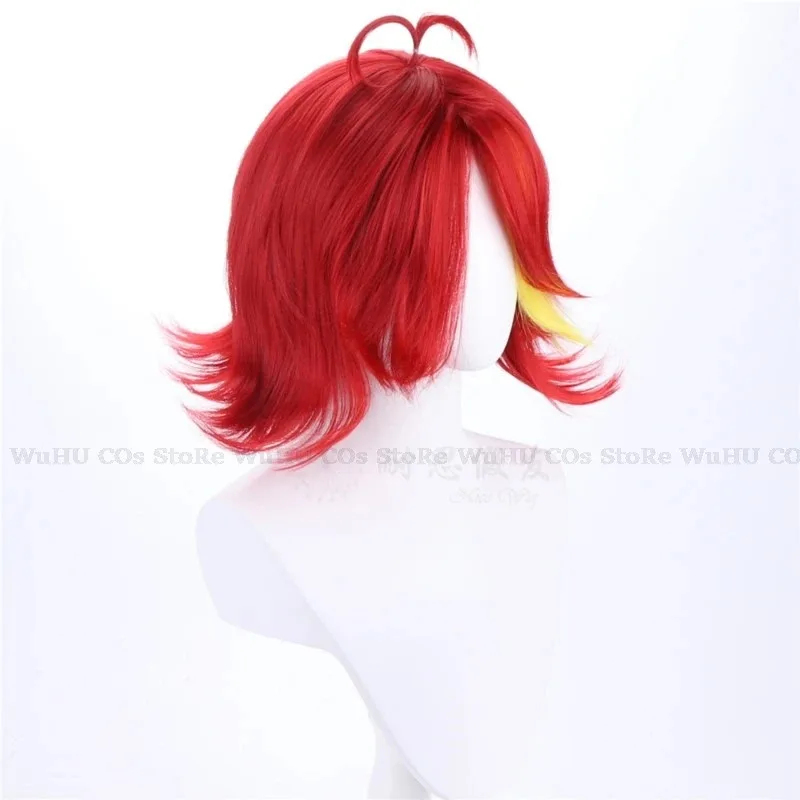 2025 hasbin Cos Niffty Wig Ani - Anime Cosplay Red Hair review and price